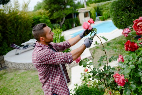 Transparent pricing for a Woolwich garden service