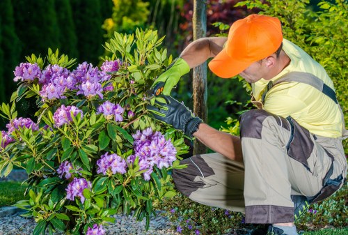 Autumn garden maintenance in Woolwich with leaf clearance and tidy paths