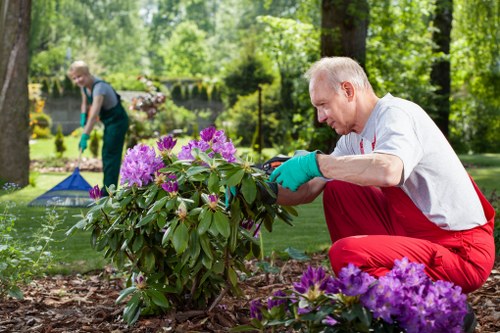 Insured gardener in Woolwich working near a landscaped garden