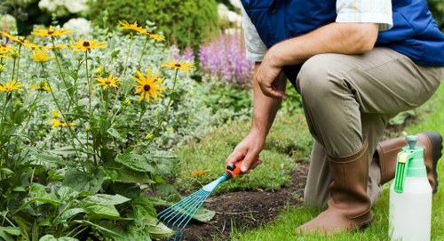 Local garden maintenance in Woolwich with neat borders