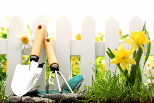Clean outdoor space after garden clearance in Woolwich
