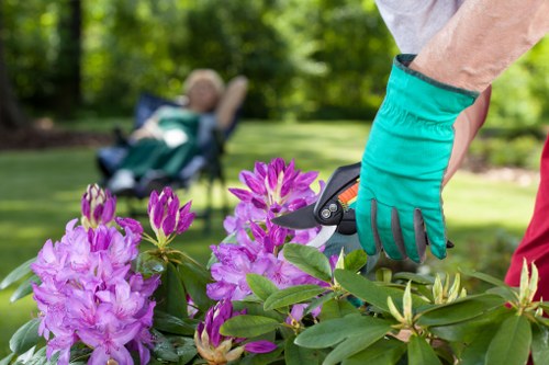 Professional Woolwich gardeners maintaining healthy garden borders