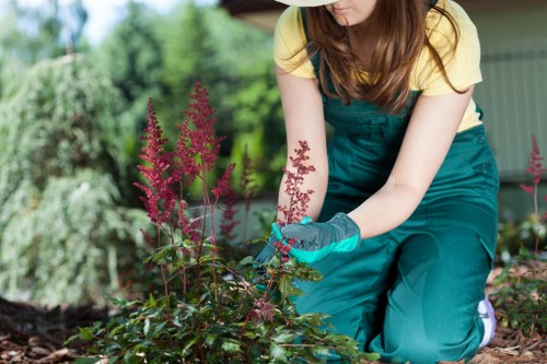 Low-maintenance landscape gardening in Woolwich with shrubs and paving