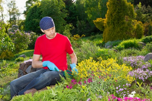 Local Woolwich gardeners carrying out hedge trimming and lawn care