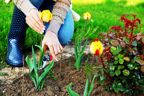 Safe and organised garden service in Woolwich