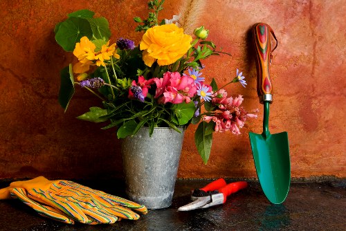 Professional gardening services in Woolwich for home gardens