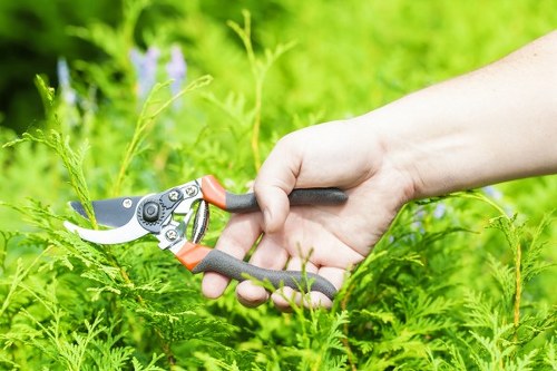 Safety-focused gardening team managing outdoor tasks carefully