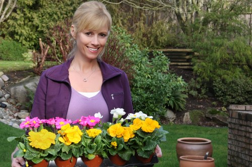 Record keeping and legal terms for garden services