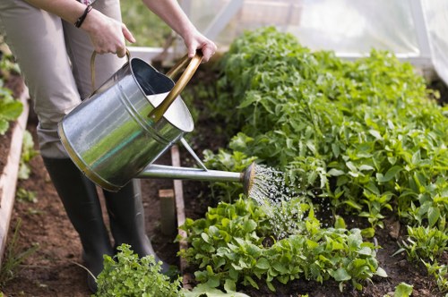 Staff using PPE during professional garden maintenance