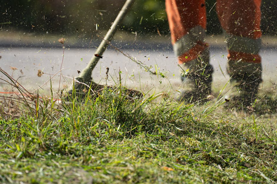 Close-up view of a person trimming a garden border with shears, grass and weeds being cut and scattered in the air. The garden features a well-maintained lawn with lush, trimmed grass and a variety of