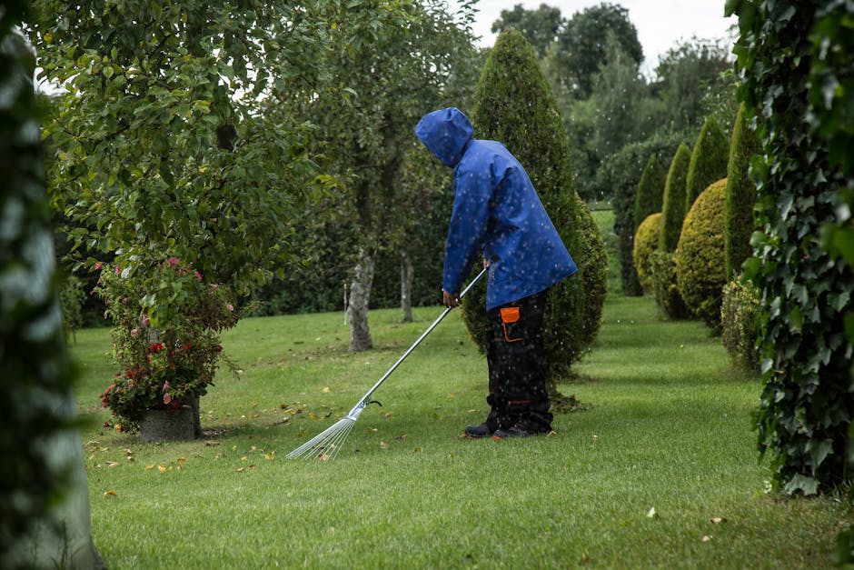 Close-up view of a person trimming a garden border with shears, grass and weeds being cut and scattered in the air. The garden features a well-maintained lawn with lush, trimmed grass and a variety of